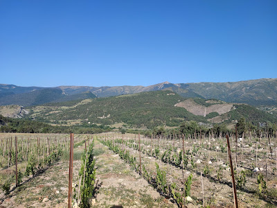 La page blanche - vins de montagne à Clumanc