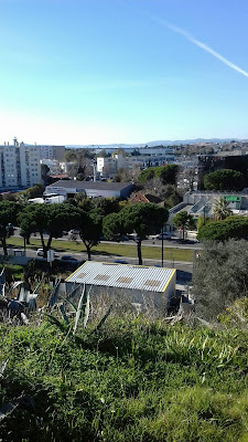 Comptoir Vi à Nice