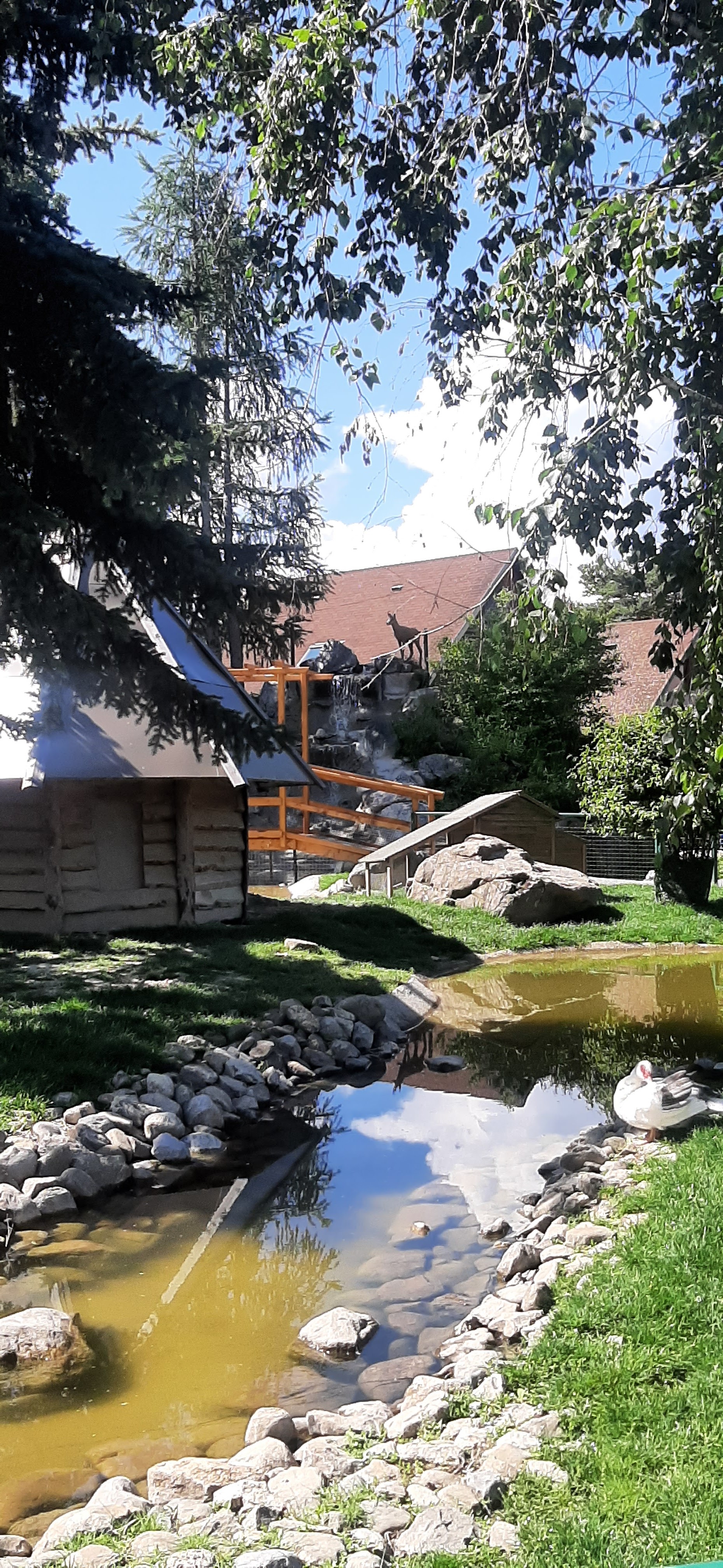 Photo n° 12 de l'avis de Thierry.a fait le 12/06/2023 à 20:21