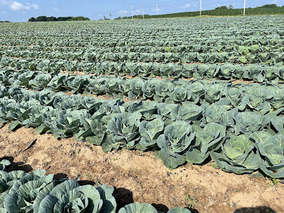 SummerTime Produce, LLC. Watermelon/Cabbage Facility