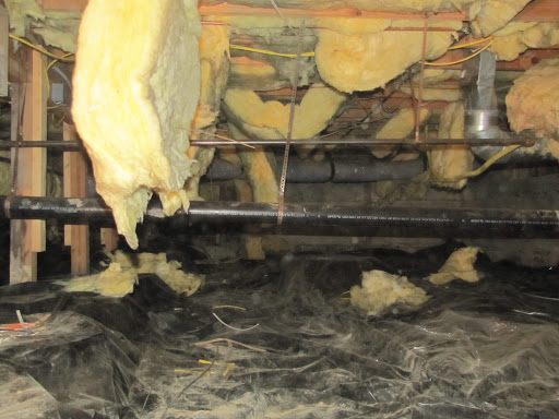 Insulation Contractor «Clean Crawls - Insulation Install & Removal Marysville», reviews and photos