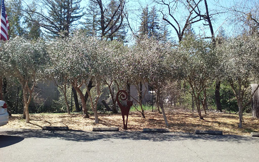 Healdsburg Veterinary Hospital image