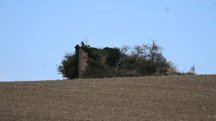 Photo n° 9 de l'avis de Gérard.e fait le 18/08/2023 à 10:07