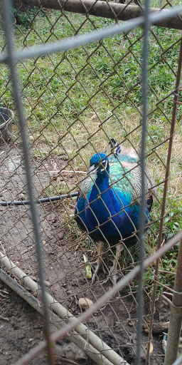 Produce Market «Highland Orchards Farm Market», reviews and photos, 1431 Foulk Rd, Wilmington, DE 19803, USA