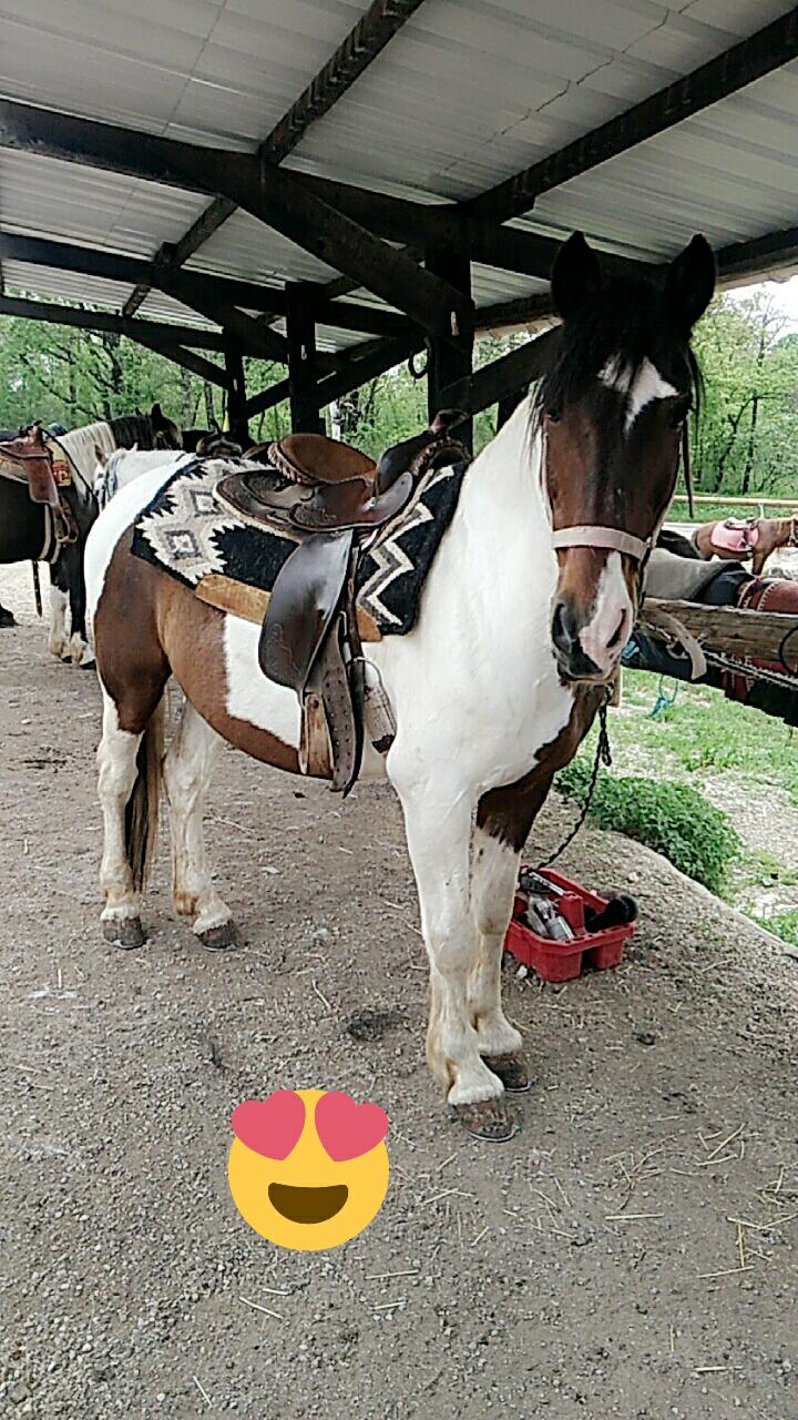 Photo n° 1 de l'avis de T.a fait le 14/05/2018 à 08:44