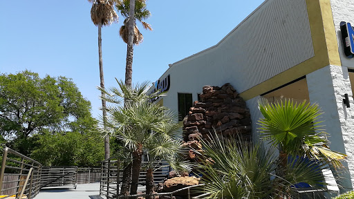 Jazz Club «Martini Blu», reviews and photos, 5060 Farm to Market 1960 Rd W, Houston, TX 77069, USA