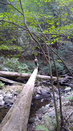 Bicycle Store «Epicenter Cycling», reviews and photos, 8035 Soquel Dr, Aptos, CA 95003, USA