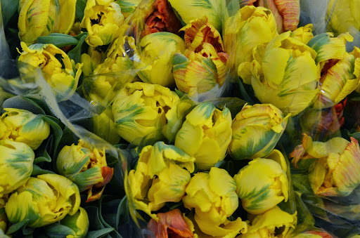 Florist «Lane Florist», reviews and photos, 6616 Snider Plaza, Dallas, TX 75205, USA