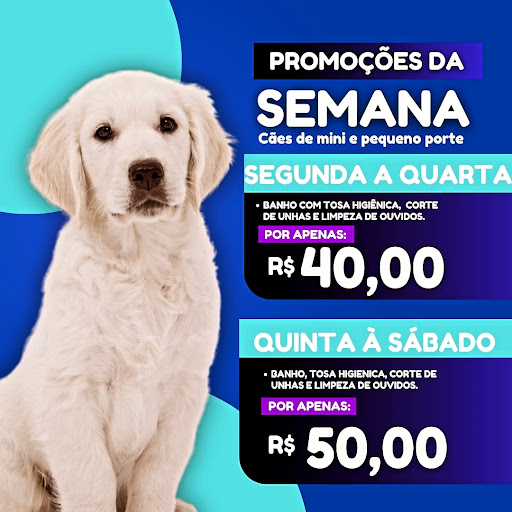 Logo da empresa - Central Pet