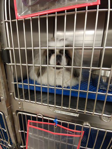 Pet Supply Store «PetSmart», reviews and photos, 2435 NW Federal Hwy, Stuart, FL 34994, USA