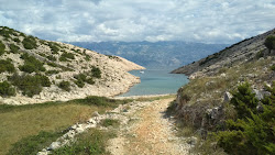 Foto von Lizard's beach mit kleine bucht