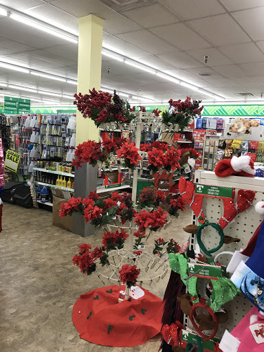 Dollar Store «Dollar Tree», reviews and photos, 433 E Sheridan St, Dania Beach, FL 33004, USA