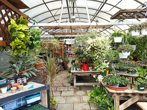 Florist «Ross Plants & Flowers», reviews and photos, 2704 PA-309, Orefield, PA 18069, USA