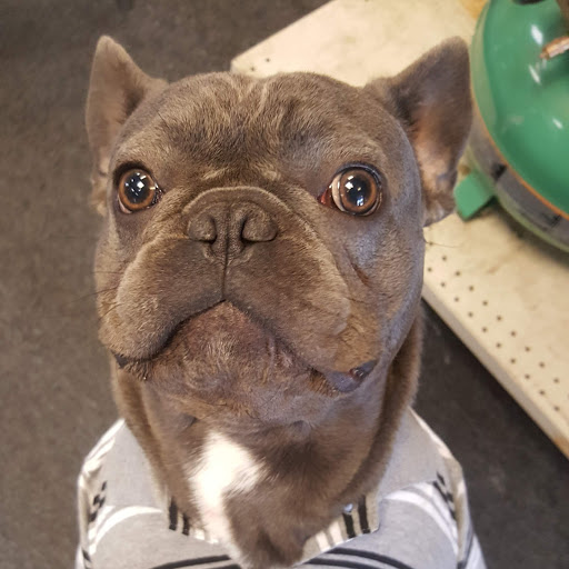 Pawn Shop «Montbello Pawn», reviews and photos, 4624 Peoria St, Denver, CO 80239, USA