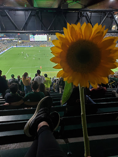 Stadium «Providence Park», reviews and photos, 1844 SW Morrison St, Portland, OR 97205, USA