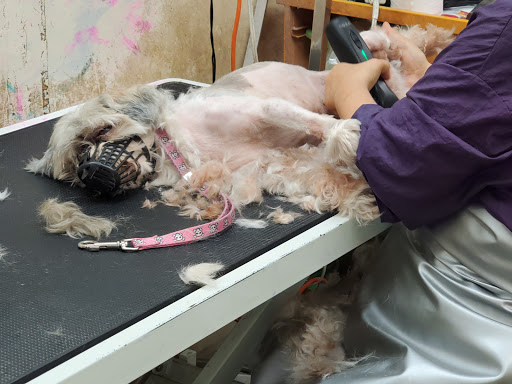 Pet Store «34 Pet Shop», reviews and photos, 3434 W Slauson Ave, Los Angeles, CA 90043, USA