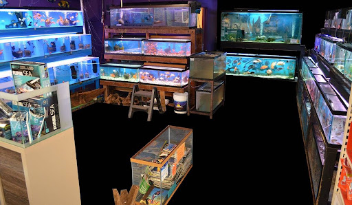 Tropical Fish Store «Lovely Pets Aquarium Store», reviews and photos, 69 Parkingway, Quincy, MA 02169, USA