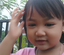 Taman Gandekan Asri photo