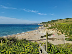 Foto di Hemmick beach circondato da montagne