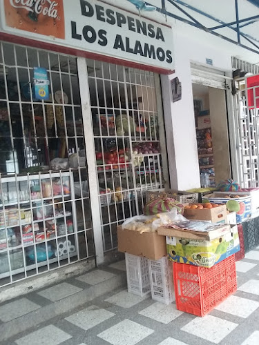 Tienda "Los ALAMOS"
