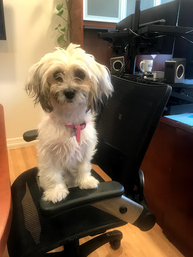 Insurance Agency «Farmers Insurance - Mike Schmisek», reviews and photos