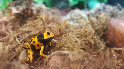 Pet Supply Store «Petco Animal Supplies», reviews and photos, 810 Kingwood Dr, Kingwood, TX 77339, USA