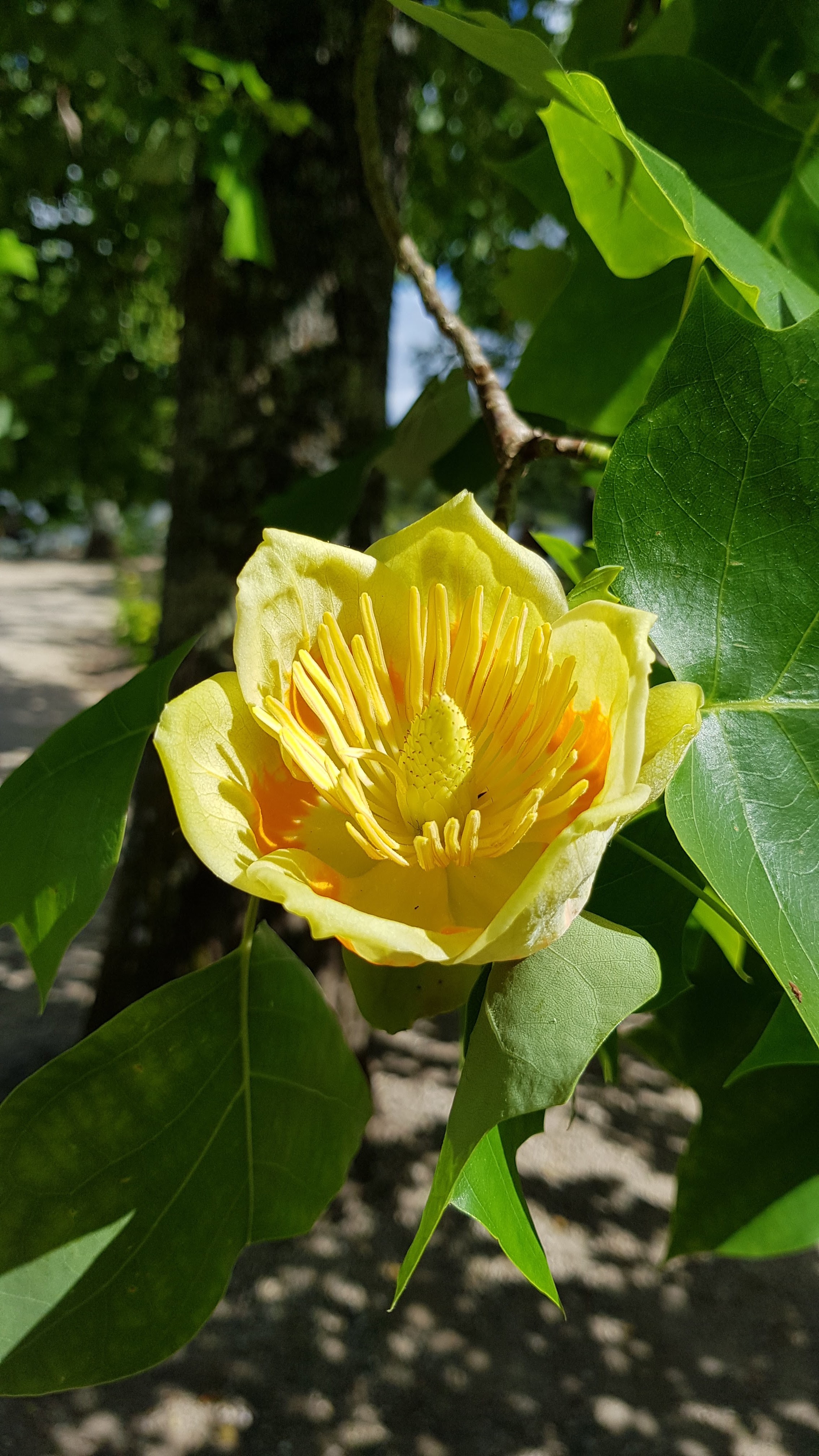 Photo n° 4 de l'avis de Mario.o fait le 11/05/2019 à 17:45