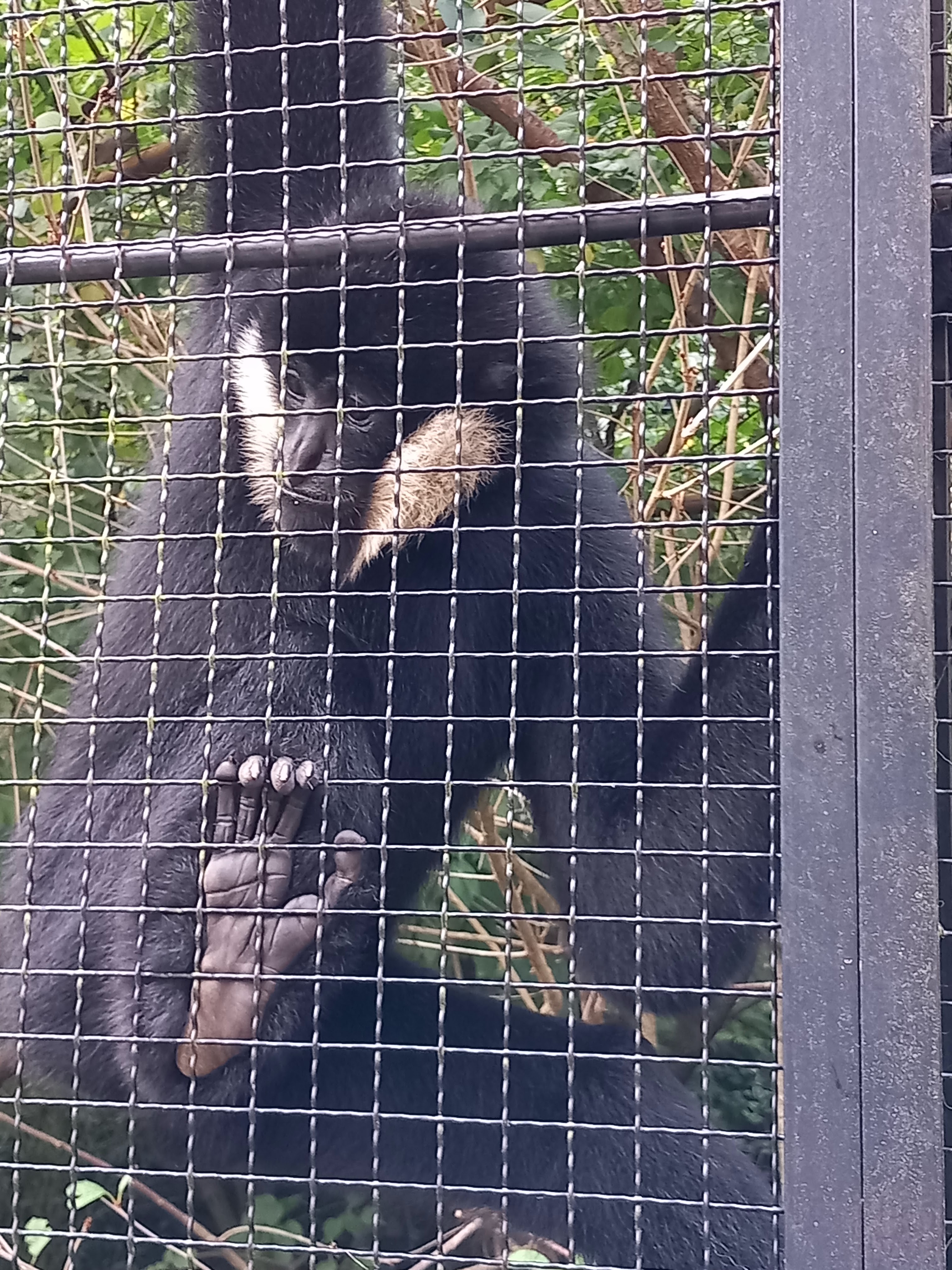 Photo n° 14 de l'avis de Julien.a fait le 11/10/2023 à 18:47