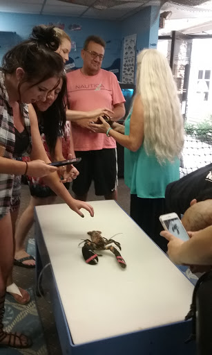 Aquarium «Explore the Ocean World, llc Oceanarium», reviews and photos, 367 Ocean Blvd, Hampton, NH 03842, USA