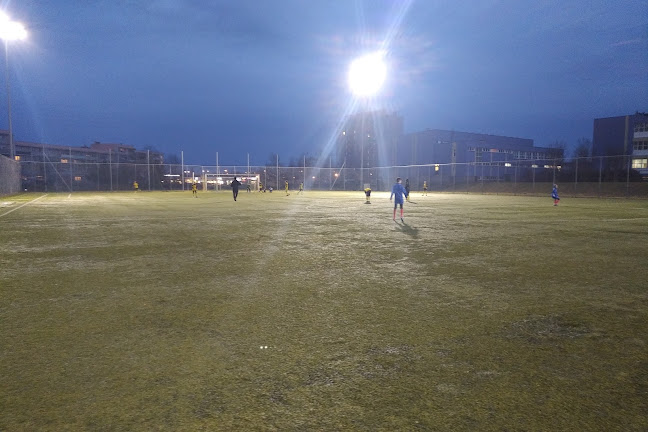 Boisko Orlik Dziesiątka - Serbinów - Boisko do piłki nożnej