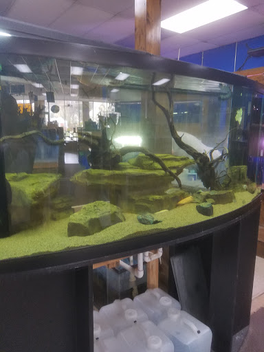 Pet Supply Store «Tropical World Pets», reviews and photos, 8444 Watson Rd, Webster Groves, MO 63119, USA