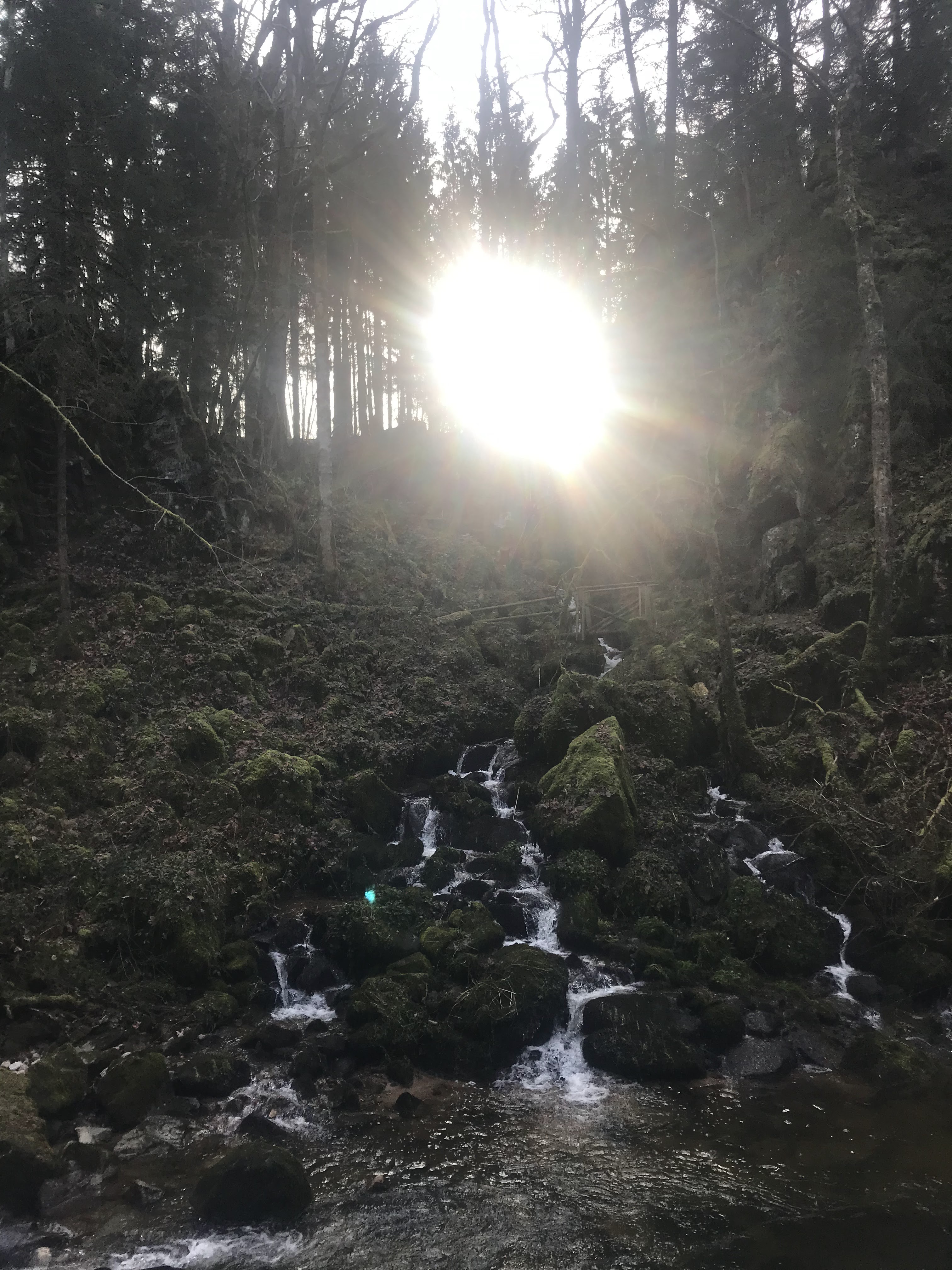 Photo n° 1 de l'avis de julien.u fait le 09/01/2019 à 16:48