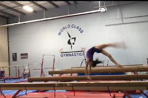 World Class Gymnastics image