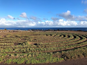 Kapalua Labyrinth - photo 78