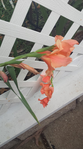 RV Park «Dallas Hi Ho RV Park», reviews and photos, 200 West Bear Creek, Glenn Heights, TX 75154, USA