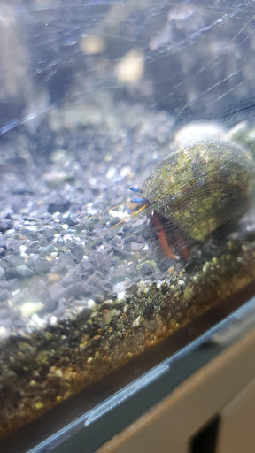 Tropical Fish Store «House of Fins», reviews and photos, 99 Bruce Park Ave, Greenwich, CT 06830, USA