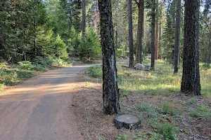 Stanislaus National Forest, Summit Ranger Station image