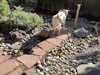 Mountaintop Landscapes - Photo 8 - Car repair in , Arvada