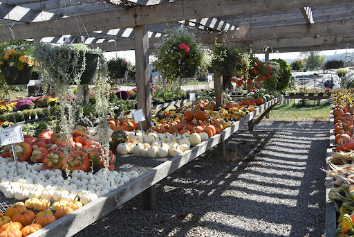 Produce Market «Kroul Farms», reviews and photos, 245 IA-1, Mt Vernon, IA 52314, USA