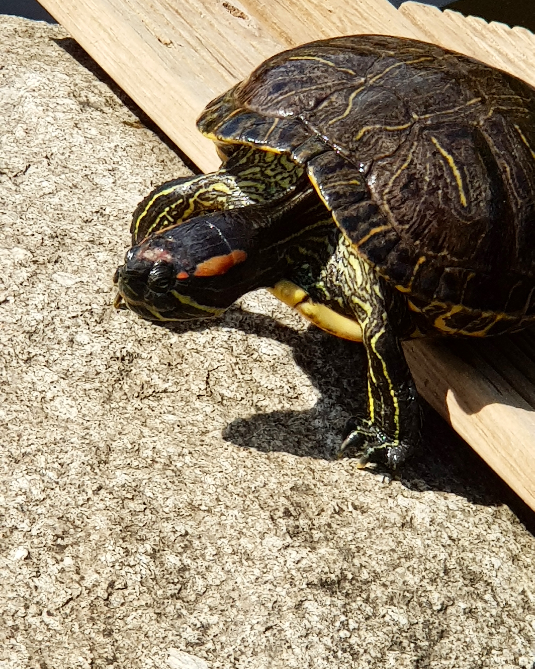 Photo n° 7 de l'avis de Marion.a fait le 09/06/2018 à 14:09