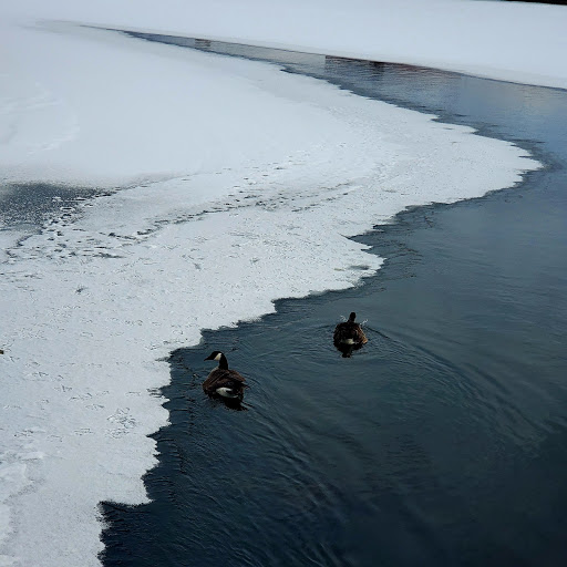 Tourist Attraction «Fish Ladder Park Grand Rapids», reviews and photos, 560 Front Ave NW, Grand Rapids, MI 49504, USA