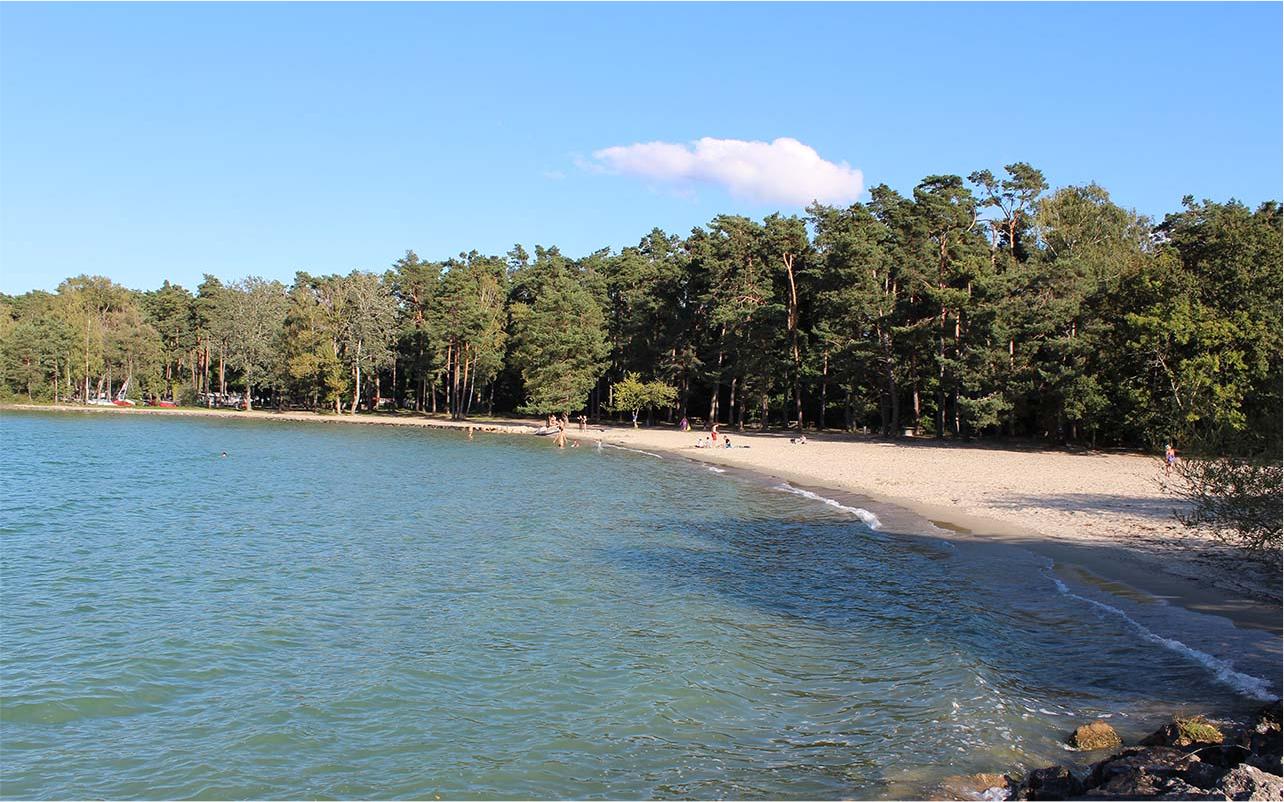 Foto di Plage du Camping VD 8 con una superficie del sabbia beige