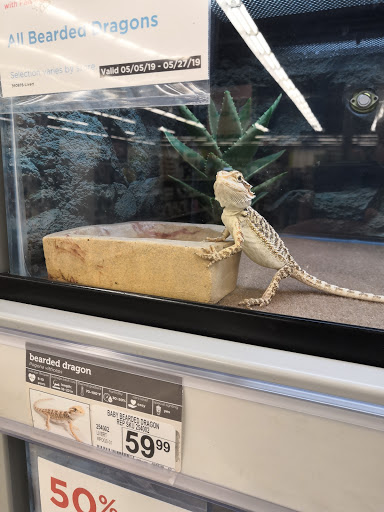 Pet Supply Store «Petco Animal Supplies», reviews and photos, 2358 S Range Ave, Denham Springs, LA 70726, USA