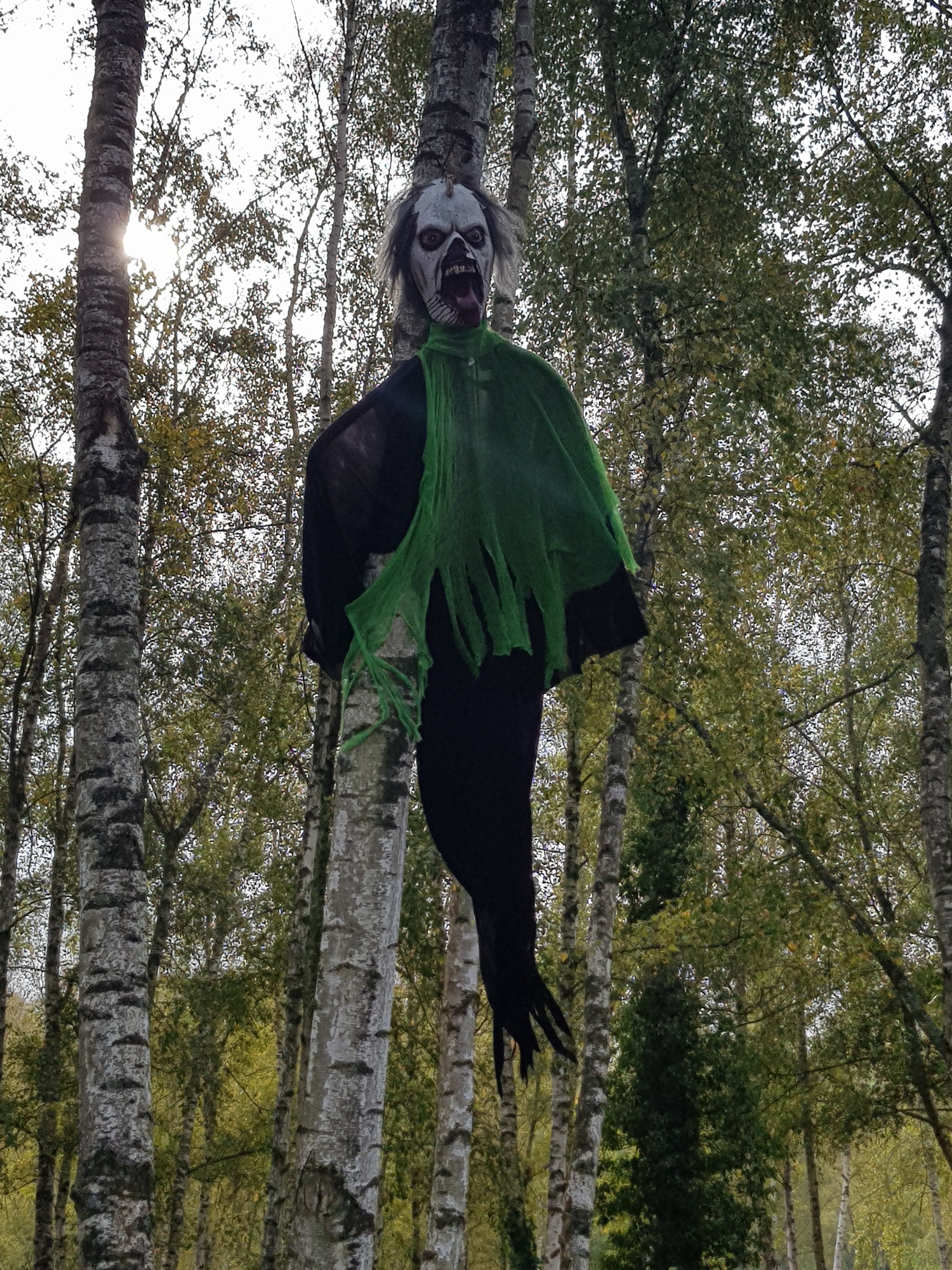 Photo n° 10 de l'avis de CHRISTOPHE.A fait le 28/10/2018 à 17:24