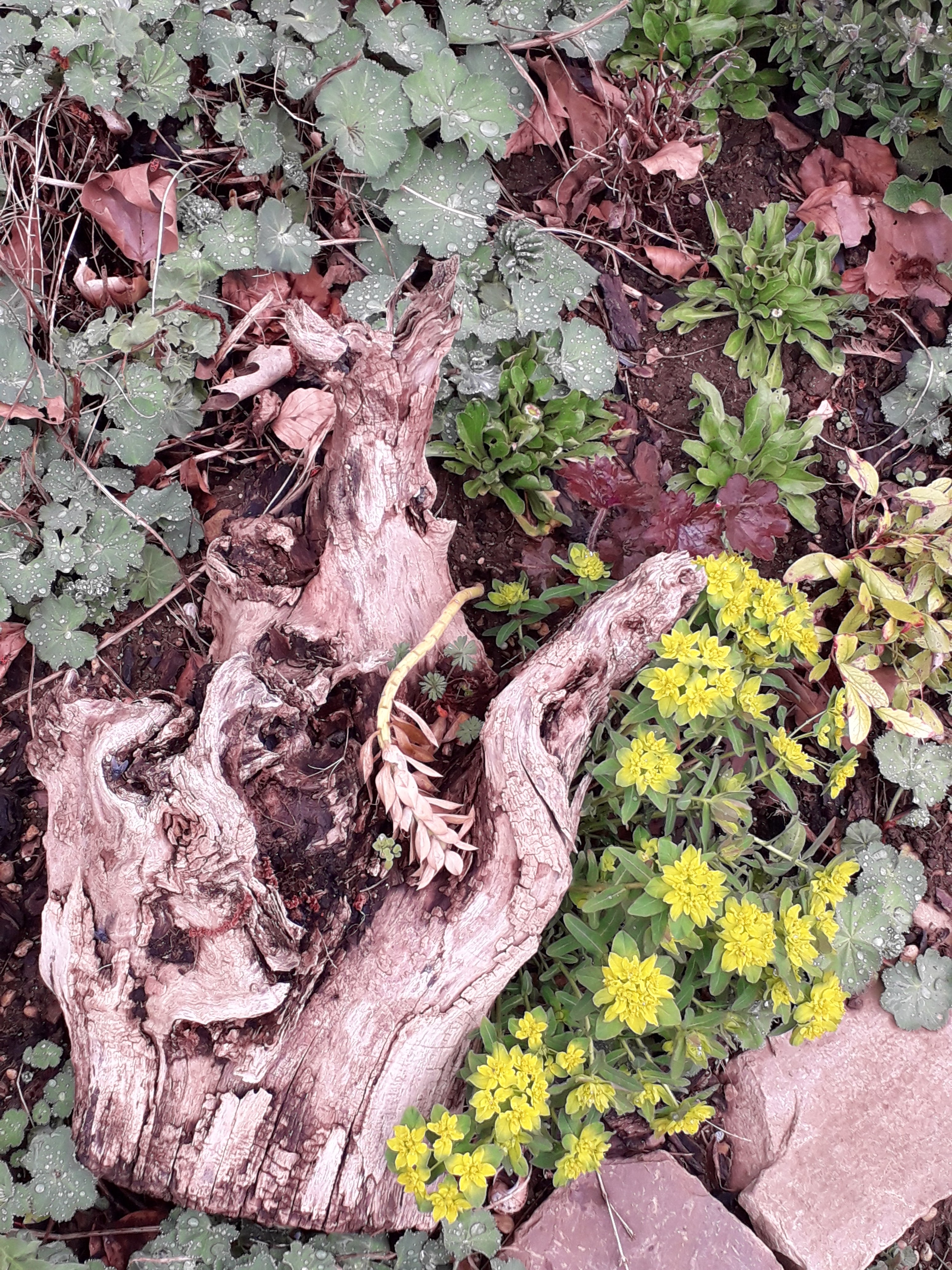Photo n° 5 de l'avis de Leila.i fait le 09/04/2019 à 15:35