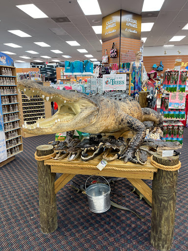 Souvenir Store «Big Bargain World Inc», reviews and photos, 8520 International Dr, Orlando, FL 32819, USA