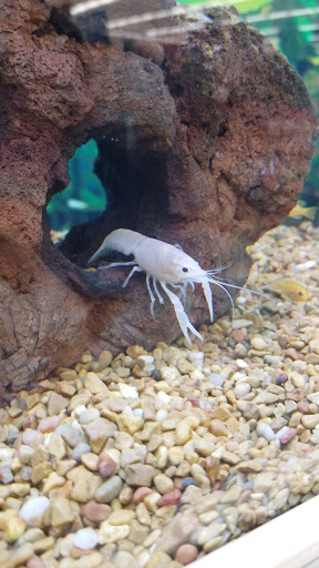 Pet Supply Store «Petco Animal Supplies», reviews and photos, 3424 W Shore Dr, Holland, MI 49424, USA