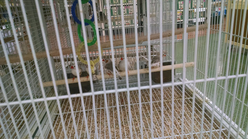 Pet Supply Store «Pet Supermarket», reviews and photos, 1629 Perry Hill Rd, Montgomery, AL 36106, USA