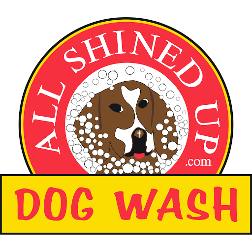 Car Wash «All Shined Up Car Wash», reviews and photos, 6301 Sykesville Rd, Eldersburg, MD 21784, USA