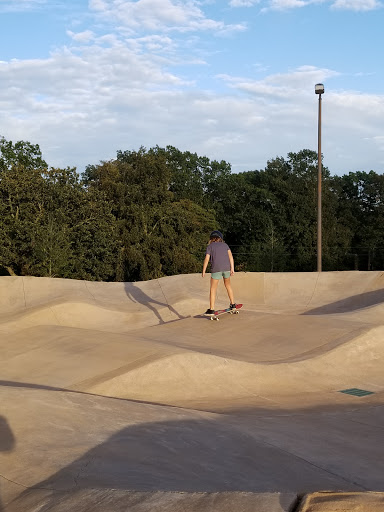 Metfield Skills Park